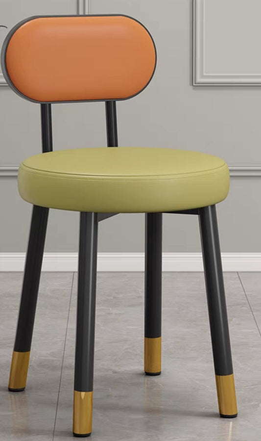 Colorfull Dining Chair